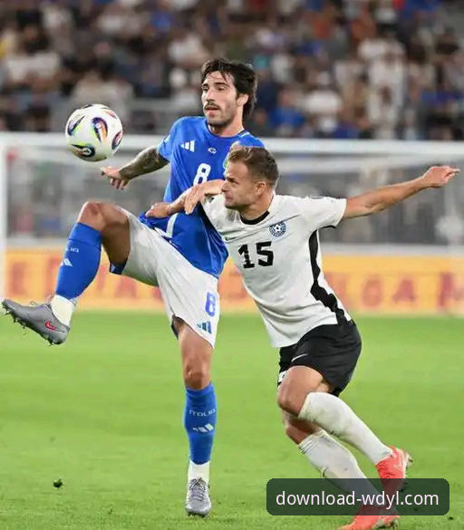 意大利队世预赛再遭重创，问鼎娱乐平台解析蓝衣军团连续出局最新动态